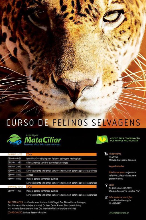 Divulgacao Curso de Felinos AMC 2016